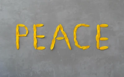 The Peace Circle: A Structured Conversation For Healing