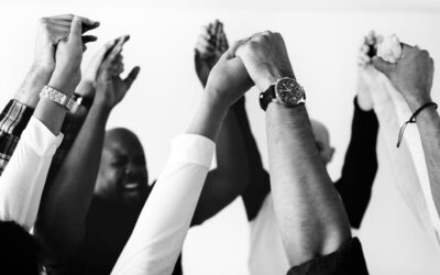 Building the Culture Where Everyone Belongs: Your 90-Day Plan